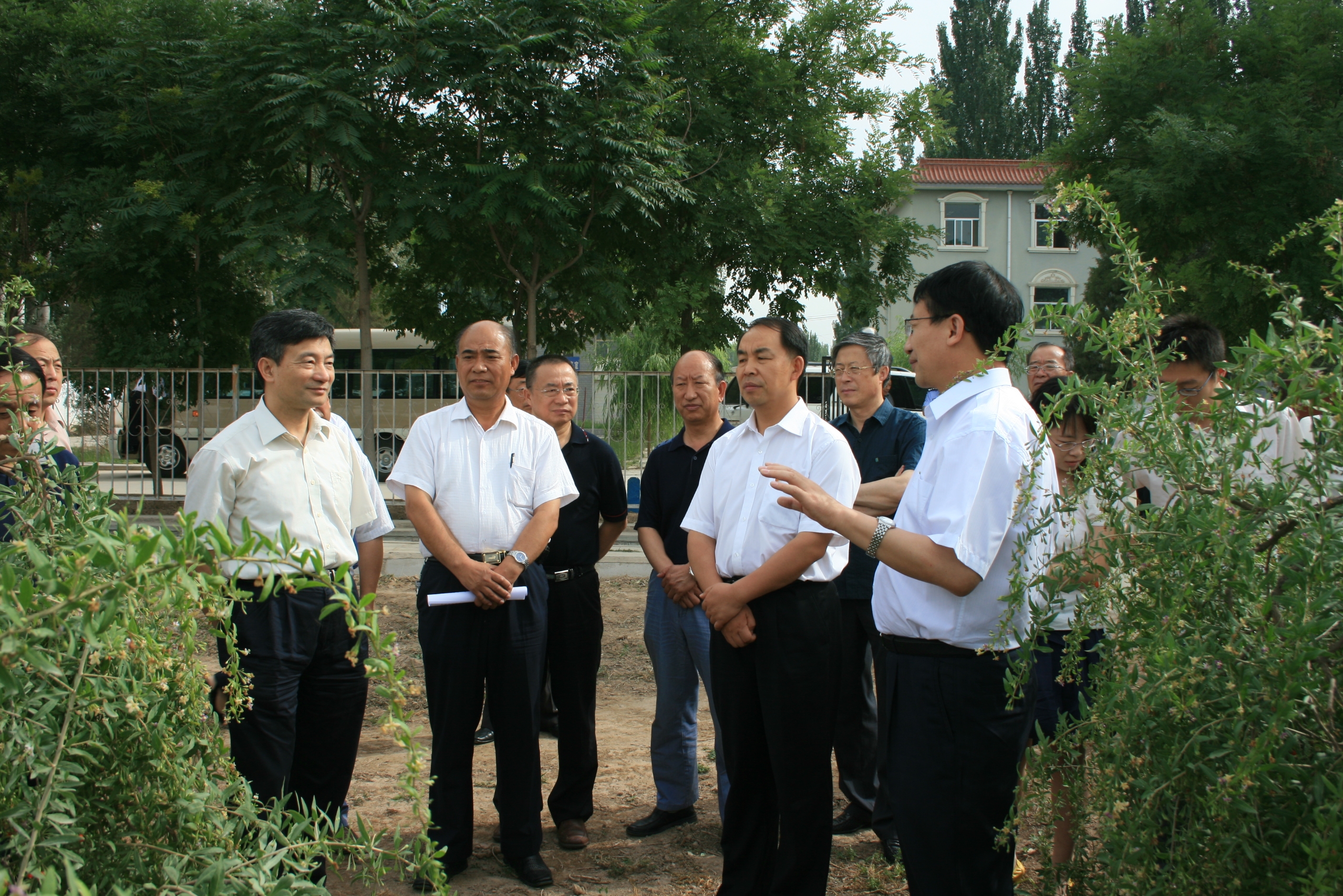 2008年6月，全国政协副主席、民进中央常务副主席罗富和在宁夏农科院枸杞园调研.JPG